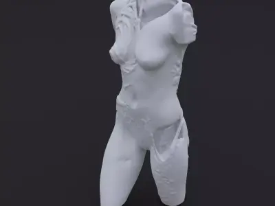 Carved Body 3D model