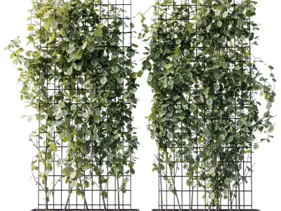 Plants set partition in metal frame 103 - Vertical graden ivy 3D model
