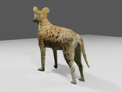 Hyena low and high poly - Hiena Low-poly 3D model