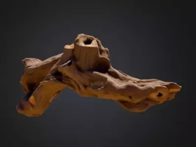 Twisted Driftwood Arch Low-poly 3D model