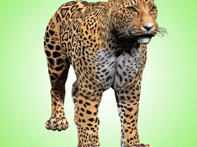 Leopard Rigged 3D model