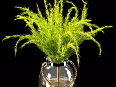 plant indoor 03 Low-poly 3D model