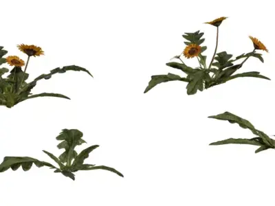 Yellow Wildflower Ground Cover 3D Model Pack Low-poly 3D model