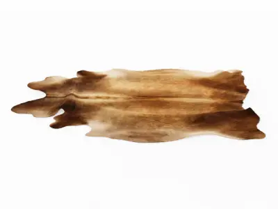 Cowhide Rug Brown 3D model