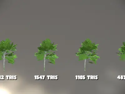 Birch Forest - Game Ready with LODs Low-poly 3D model