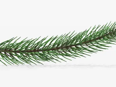 Fir tree branch 01 3D model