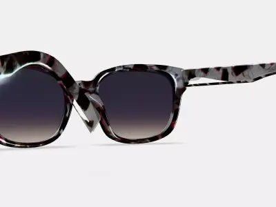 Aubrey Sunglasses in Garnet Tortoise 3D model