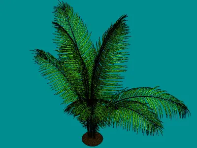 Low Poly Palm Plant - Tropical Decor Model Low-poly 3D model