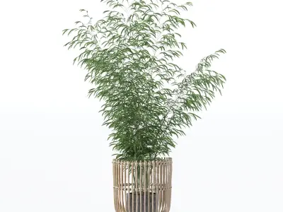 Bamboo in modern flower pot 3D model