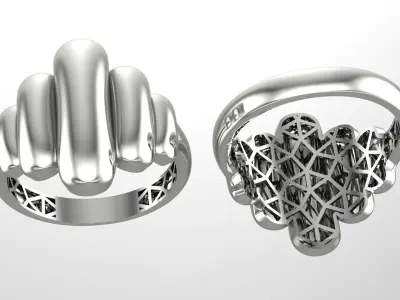 Modern Fusion Ring 3D print model