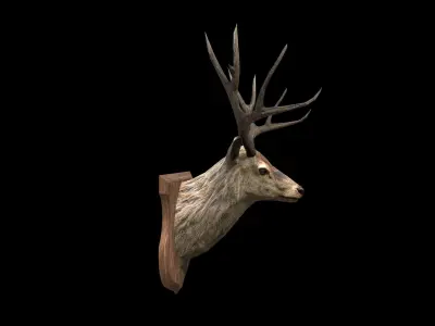 Deer Head - PBR - Textured Low-poly 3D model