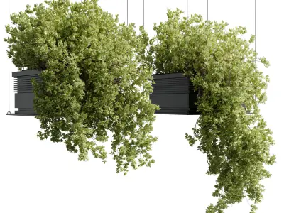 collection outdoor Indoor plants hanging pot 14-metal bax vase  3D model