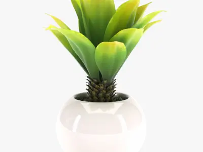 Pot Plant 12 3D models 3D model