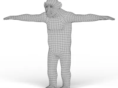 Chimpanzee Base Mesh Low-poly 3D model
