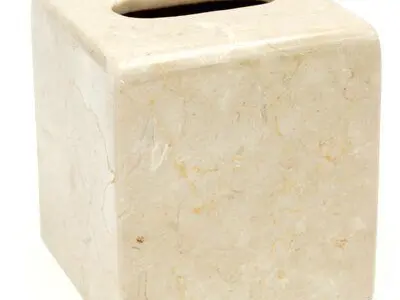 Coro Champagne Magwood Tissue Box Cover Free 3D model