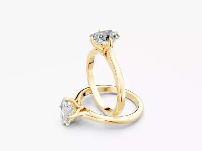 ZABS0012A RA 3D print model