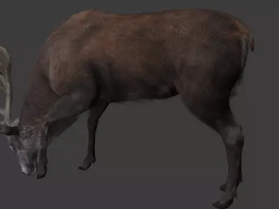 Deer 3D model optimized rigged animated game ready Low-poly 3D model
