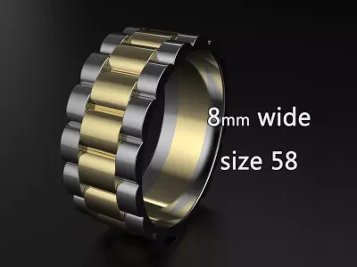 wideng  ring two tone 8mm wide size 58 3D print model