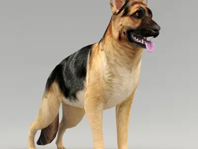GSD DOG  Low-poly 3D model