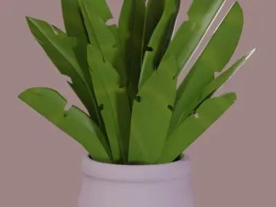 Cute Cartoon Houseplant Pack Low-poly 3D model