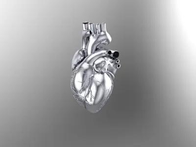 Heart 3D print model