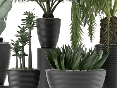 Plants Collection 25 3D model