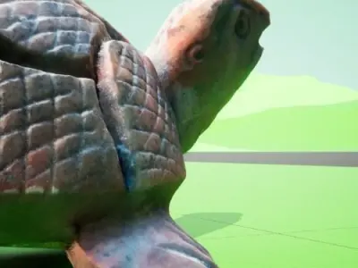 Red Tortoise - 3d asset 3D model