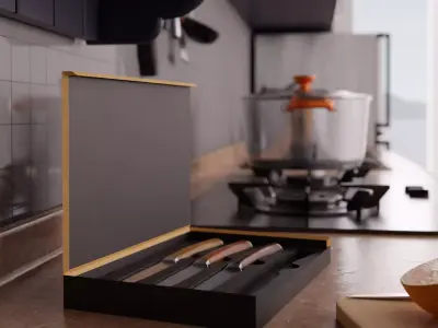Kitchen Knife Set with Elegant Box  Realistic 3D Model 3D model