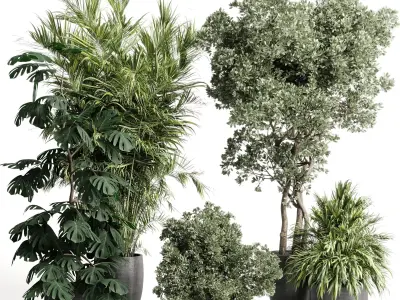 indoor plant set 452 plant bush monstera tree vase dirty  3D model