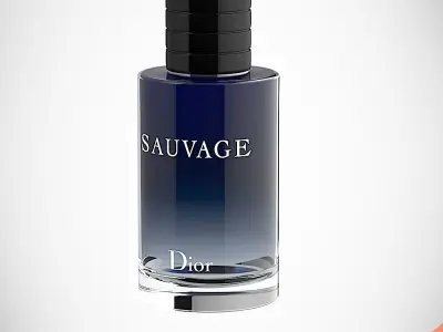 DIOR SAUVAGE 3D model