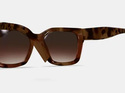 Bette Sunglasses in Sesame Tortoise 3D model