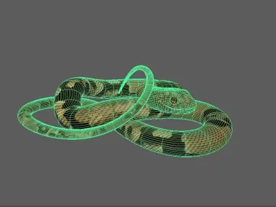 Snake -  Brown 3D model