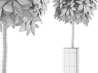Plants Collection 65 3D model