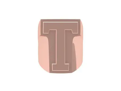 T  Ring 3D print model