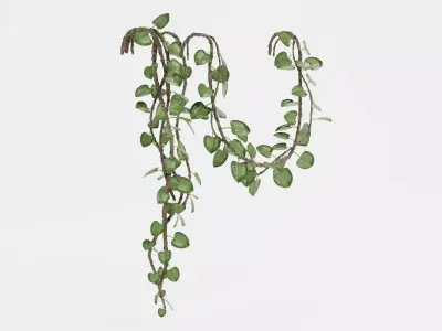 -Liana Plants- 3D model