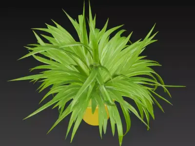spider plant pot 3D model