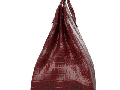 Birkin 55 HAC Croc Bag Low-poly 3D model