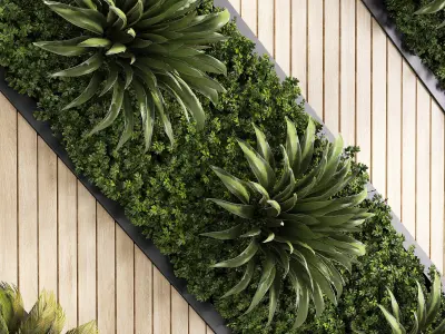 Wall plants set partition in frame 02 3D model