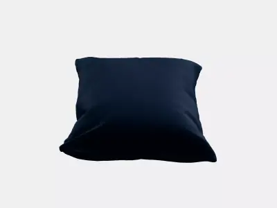 SANELA Cushion cover 9 3D model