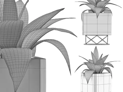 Plants Collection 93 3D model