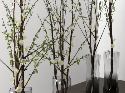 dry decorative plant set 3D model