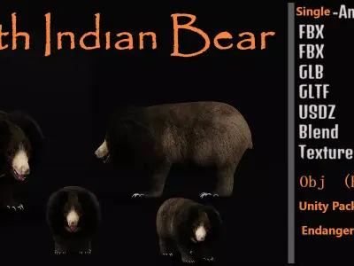 Sloth Bear Low-poly 3D model