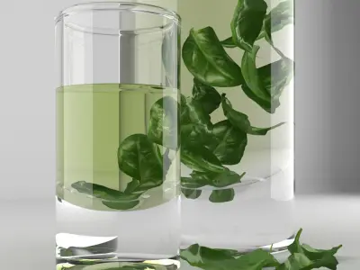 Decanter and Shot Glass 3D model