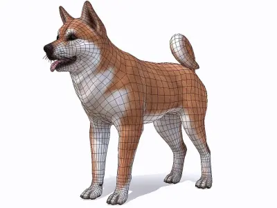 Dog - Akita Inu Low-poly 3D model