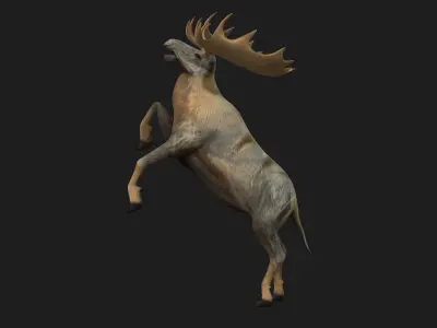 Moose-B1 3D model