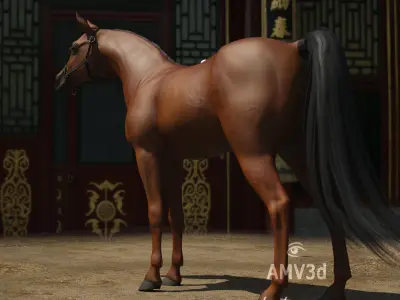Polish Horses - Arabian Low-poly 3D model