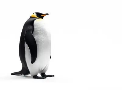 Majestic Emperor Penguin 3D Model Low-poly 3D model