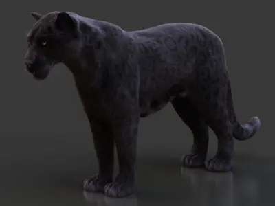 Black Jaguar RIG Xgen core 3D model