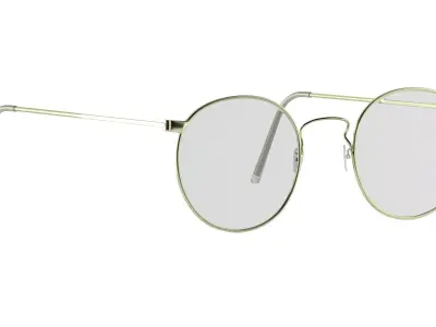 Ful Vue Glasses 3D model