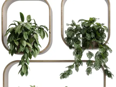 wall plant  set Indoor plant 603 plants on shelf in handmade 3D model
